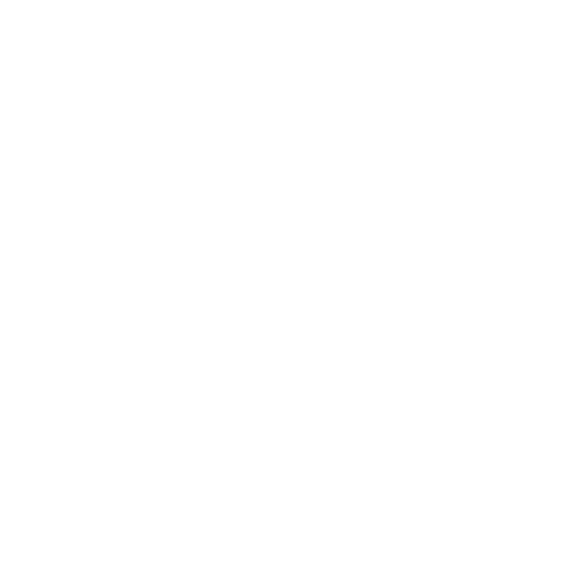feature-item-2