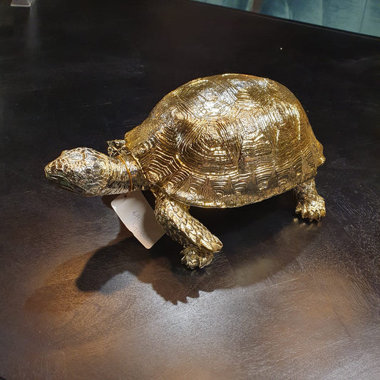 Schildpad goud