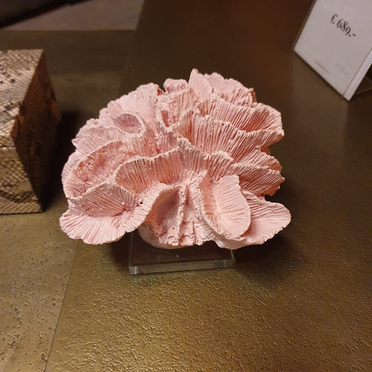 Koraal roze